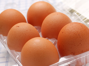 赤鶏の新鮮な卵